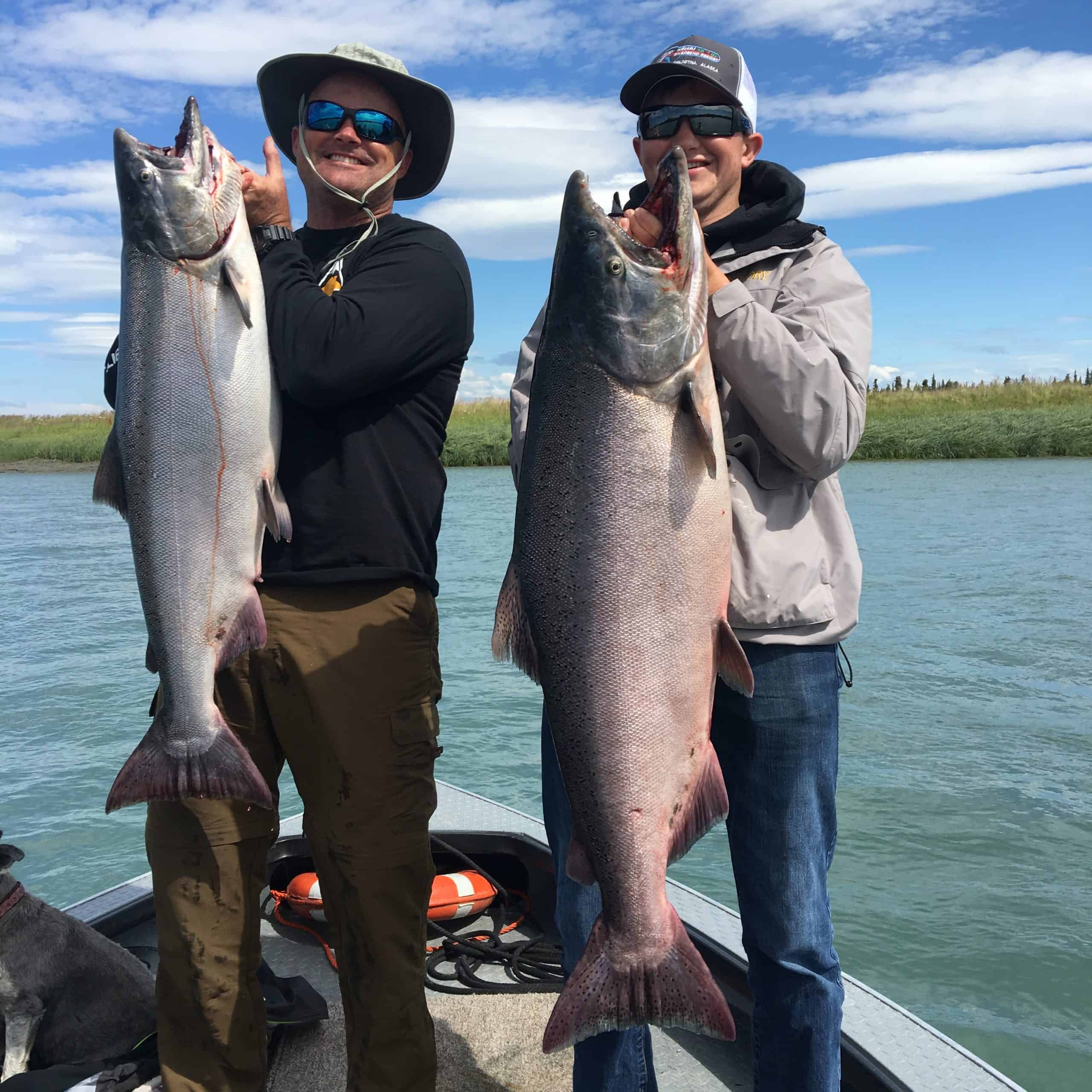 Kenai River King Salmon Fishing, Alaska