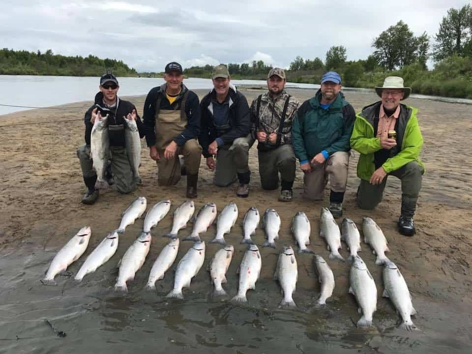 King Salmon  Kenai Riverbend Resort - Alaska Fishing & Lodging